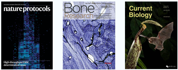 /crm/product/image/20210825/1629944858807071706.png 1629944858807071706.png