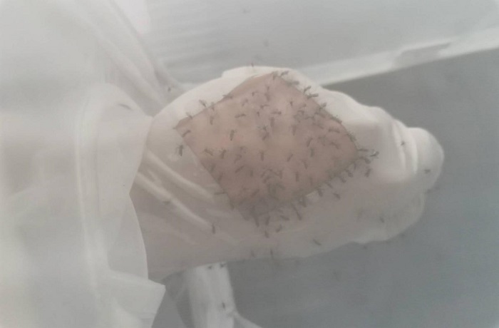 /crm/product/image/20220831/1661943352144032618.jpg 1661943352144032618.jpg