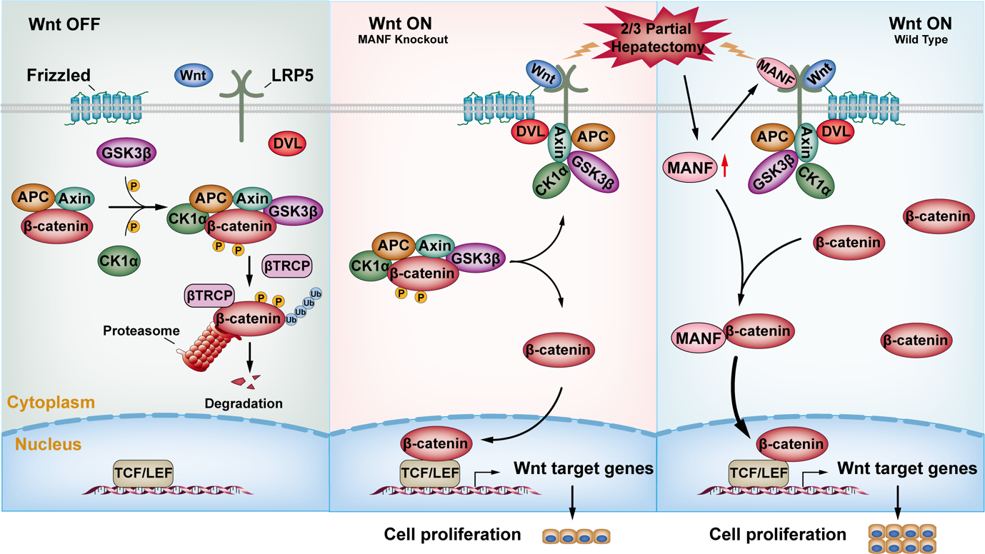 /crm/product/image/20241223/1734945387102043598.png /crm/product/image/20241223/1734945387102043598.png